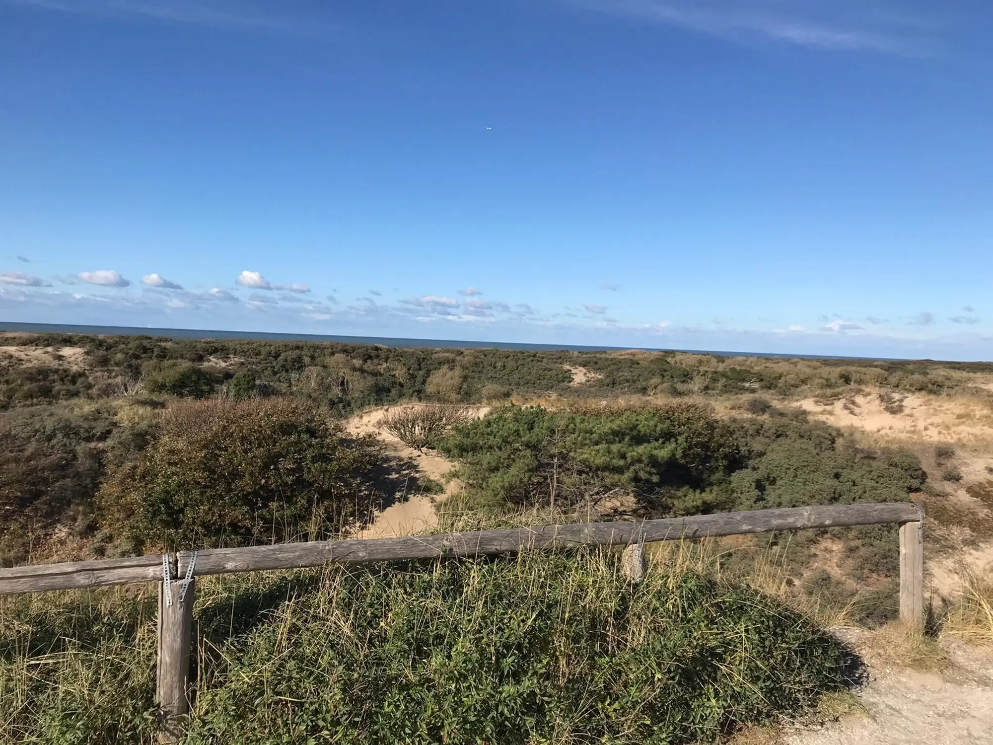 Het duinlandschap achter het strand